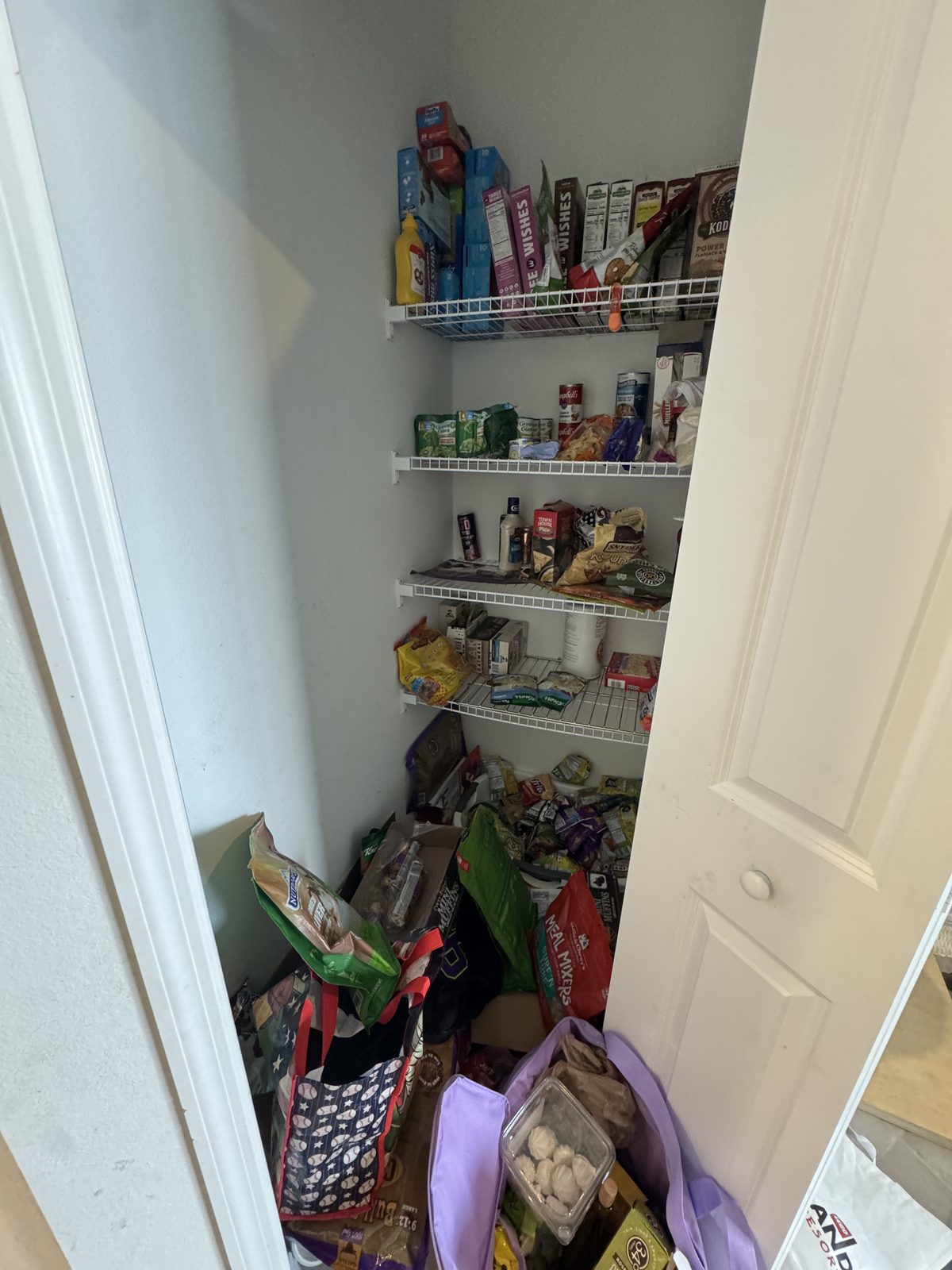 Before Closet Transformation — Organized Oasis Babcock Ranch FL