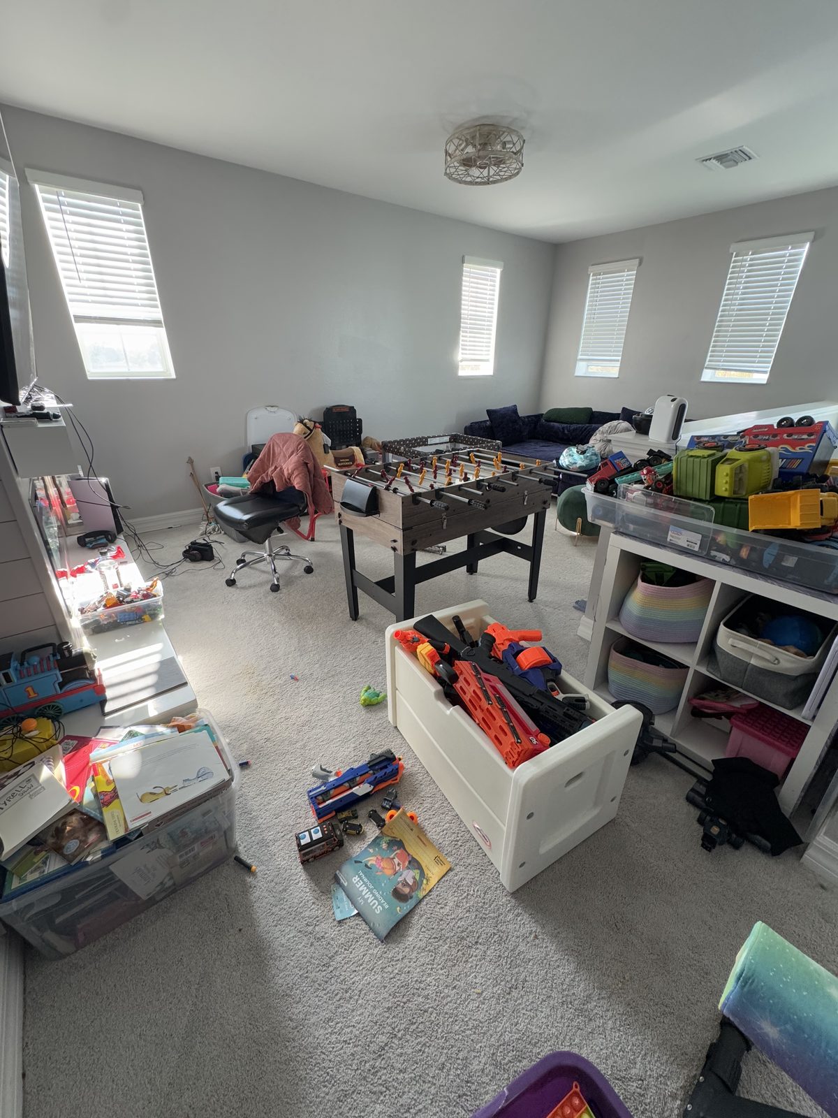Before Home Organization — Organized Oasis Babcock Ranch FL